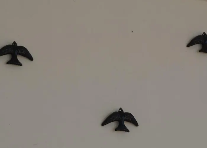 Casa Pé Da Cabra * Coimbra